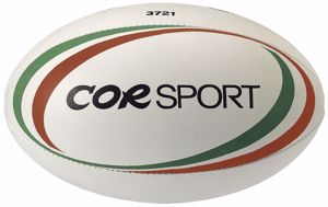 Immagine per la categoria Palloni rugby